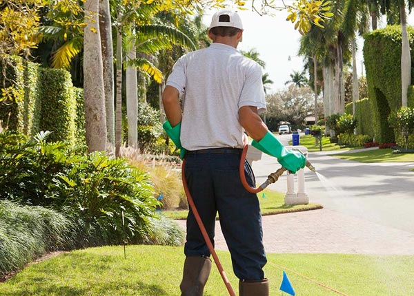 About Free Soil MI Pest Control